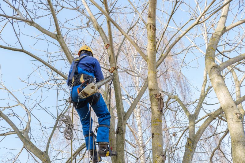 Tree Trimming in Action